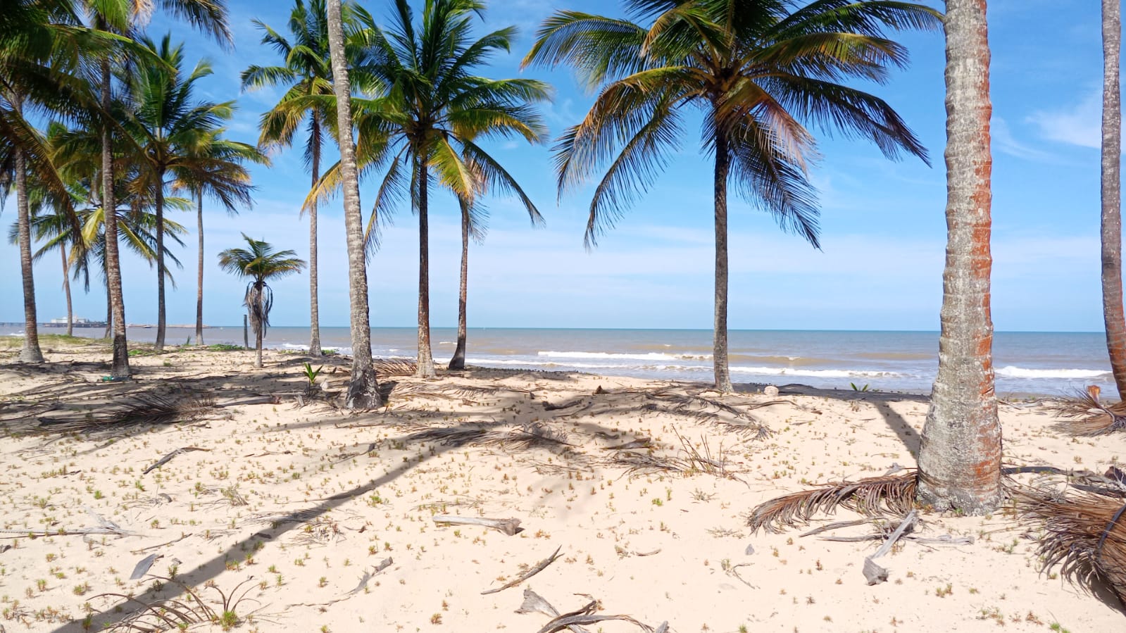 Área Pé na Areia, excelente para investimento em condomínio - próximo ao Mogi dos Pássaros