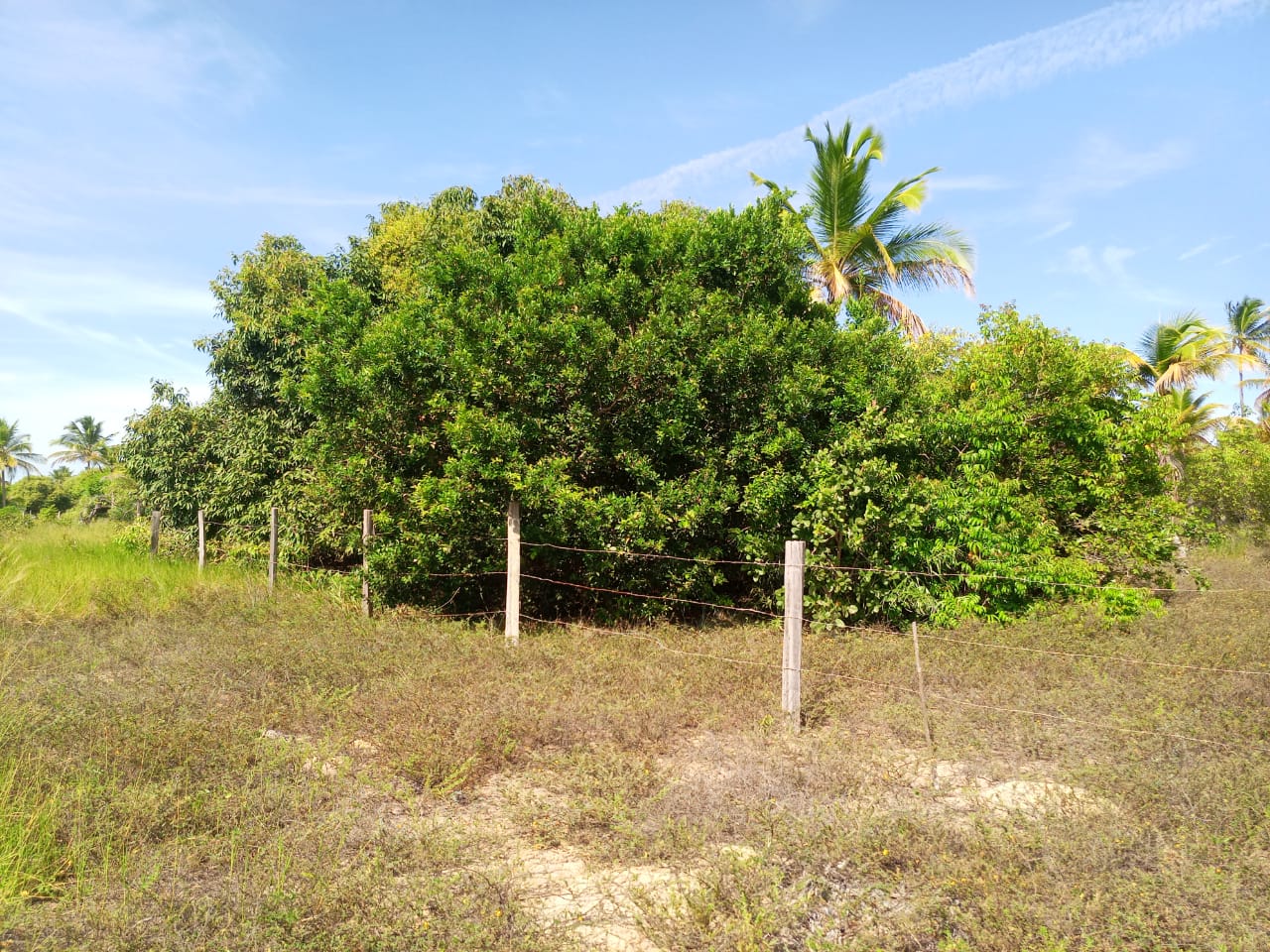 Área Pé na Areia, excelente para investimento em condomínio - próximo ao Mogi dos Pássaros
