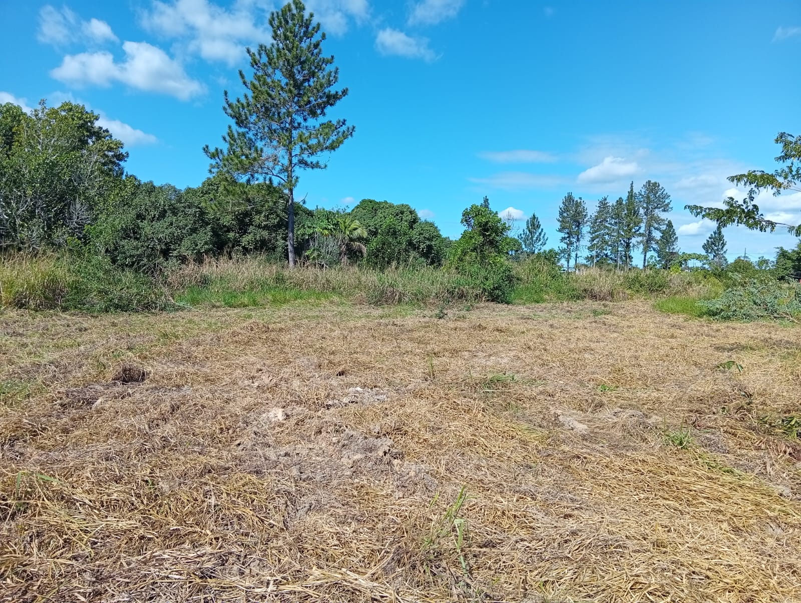 Área para investimento no Trevo que vai para Trancoso