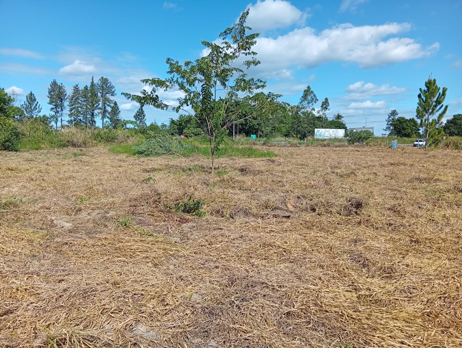 Área para investimento no Trevo que vai para Trancoso