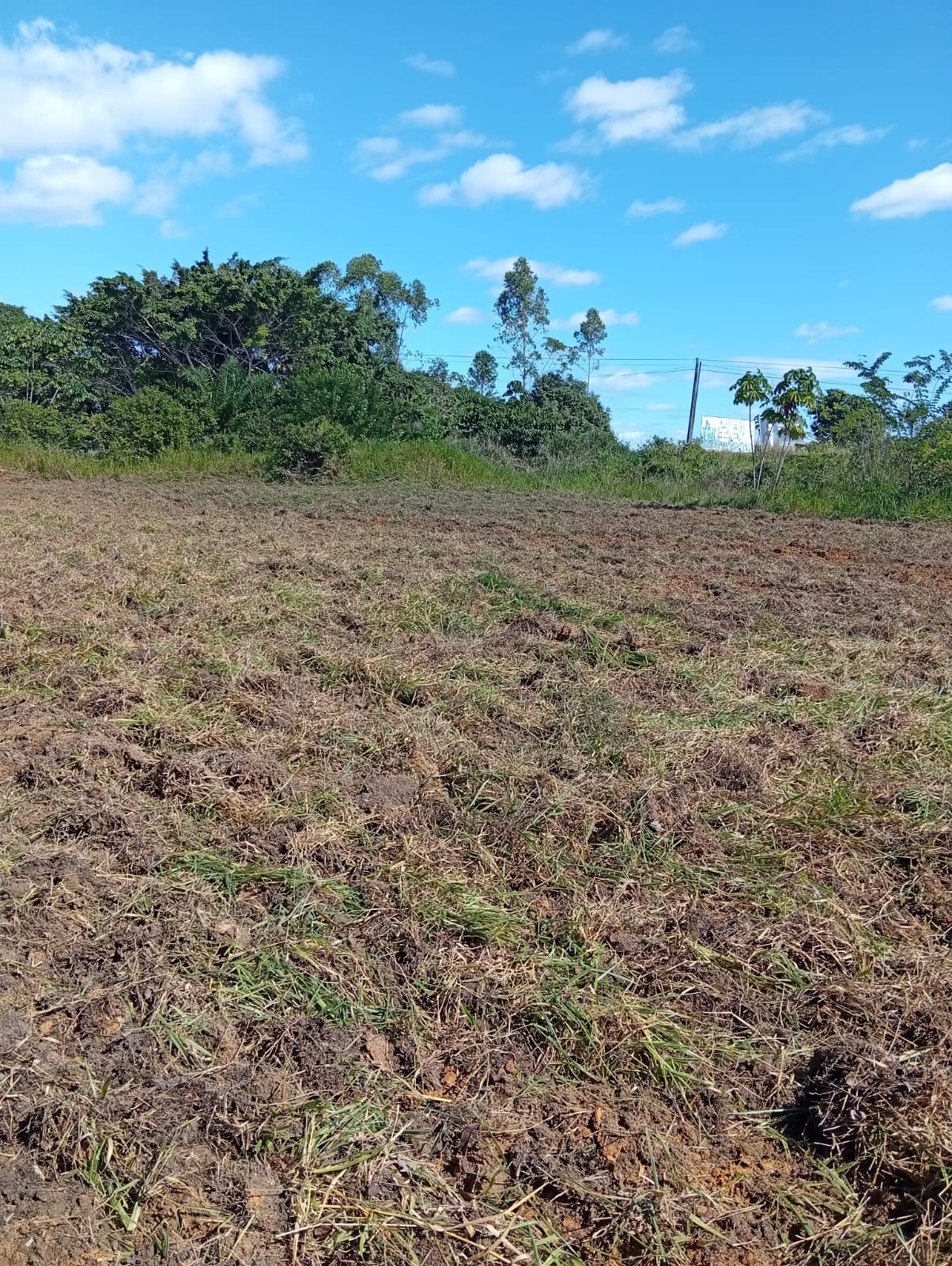 Área para investimento no Trevo que vai para Trancoso