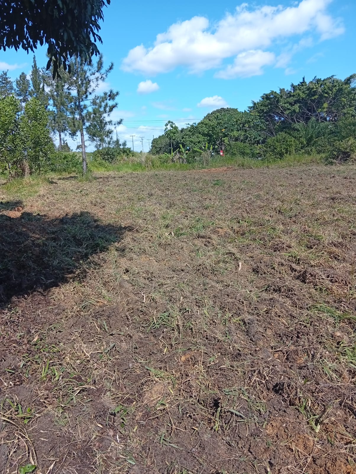 Área para investimento no Trevo que vai para Trancoso