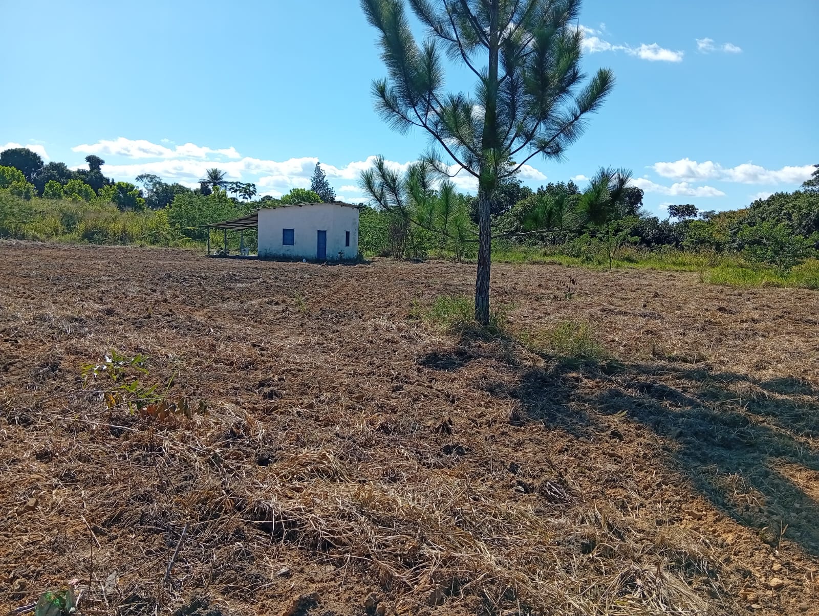Área para investimento no Trevo que vai para Trancoso