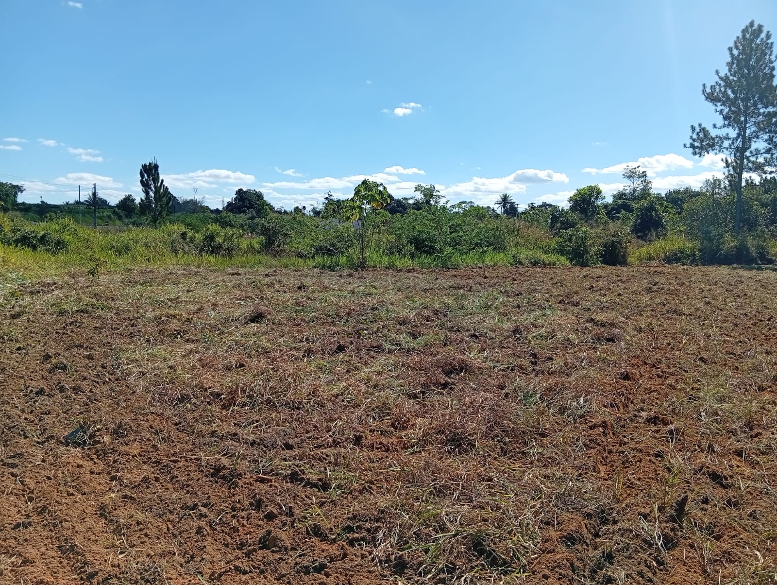 Área para investimento no Trevo que vai para Trancoso
