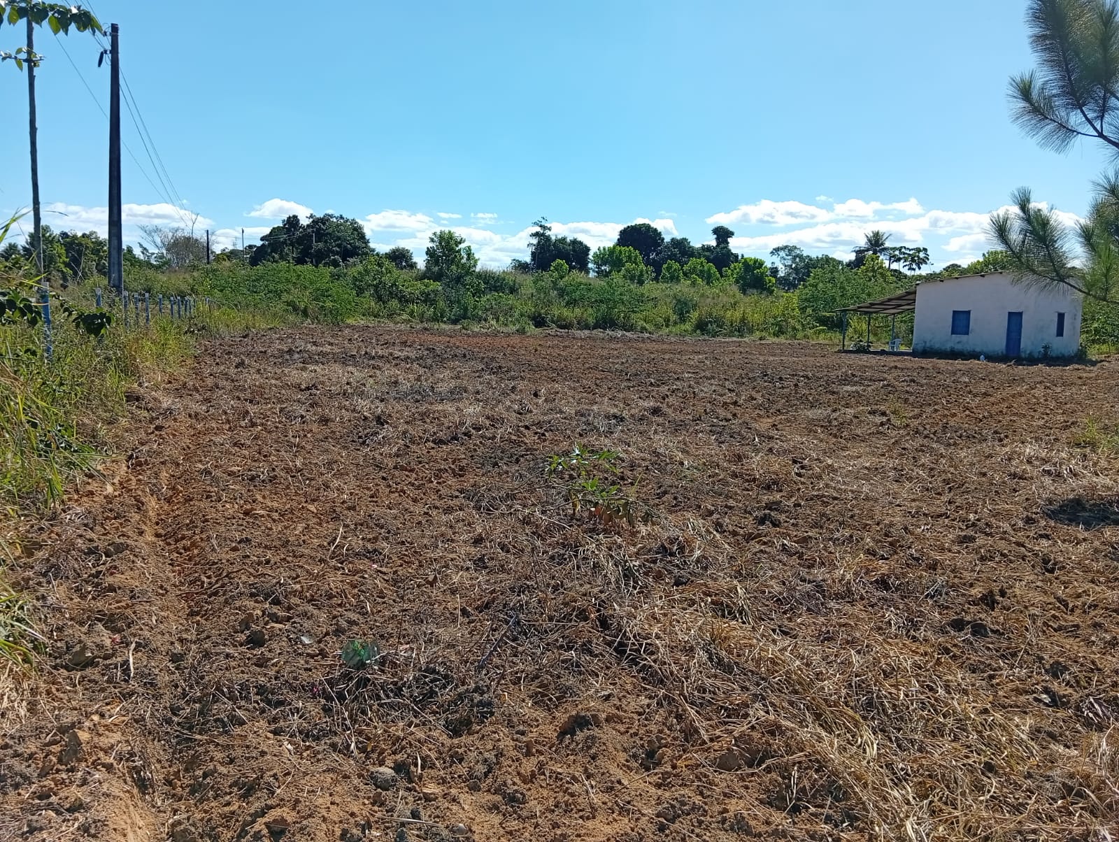 Área para investimento no Trevo que vai para Trancoso